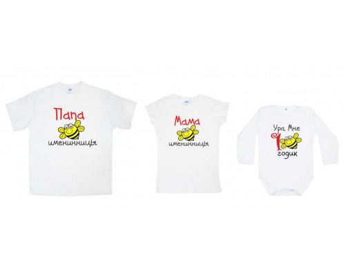 Одинаковые футболки для всей семьи family look Папа Мама именинницы с пчелкой купить в интернет магазине