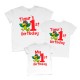 Одинаковые футболки для всей семьи 1st birthday попугай купить в интернет магазине
