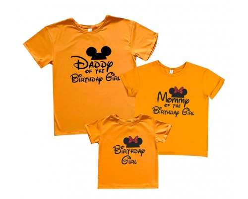 Набір футболок для всієї родини Birthday Girl Мінні Маус купити в інтернет магазині