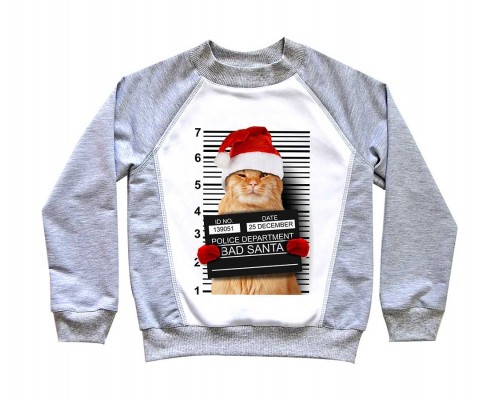 Санта кот - новогодний детский свитшот купить в интернет магазине