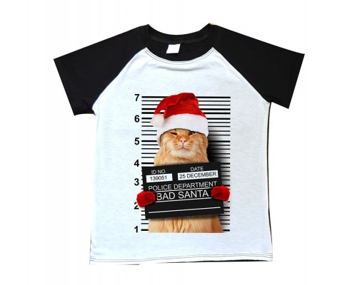 Санта кіт - новорічна дитяча футболка 2-х кольорова для хлопчика купити в інтернет магазині