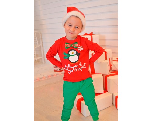Вірю в Діда Мороза - новорічний комплект джемпер дитячий +штани купити в інтернет магазині